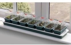 Super 7 Electricwindowsill Propagator