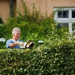 Stihl HSA 45 Cordless Hedge Trimmer -Garden Care Sale Store 28513 18578