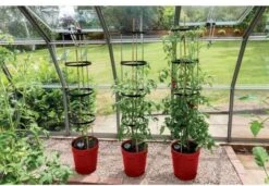 Garland Self Watering Grow Pot Planter - Red