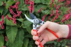 Darlac Small Bypass Pruner -Garden Care Sale Store 39211 12132