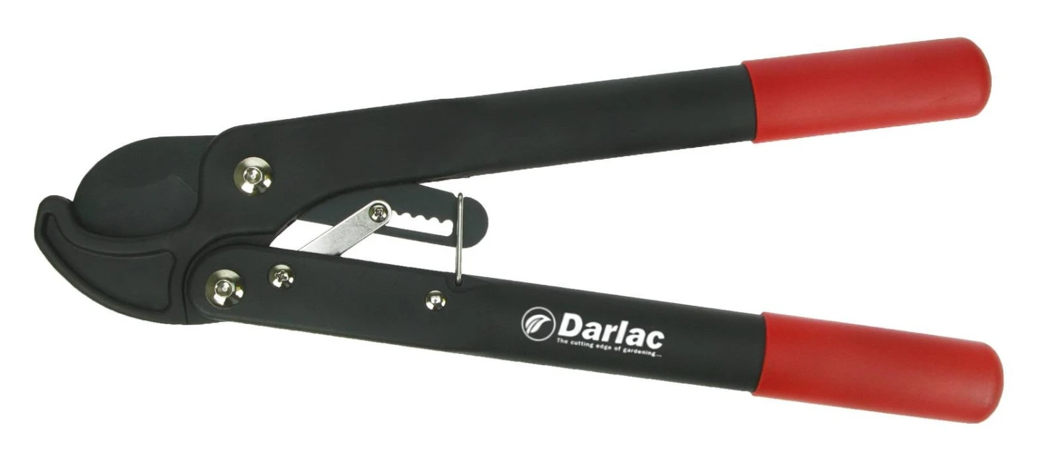 Darlac Handy Ratchet Lopper 3 Darlac Handy Ratchet Lopper