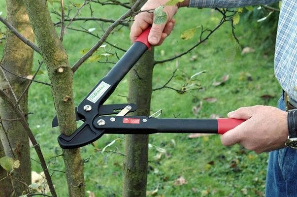 Darlac Handy Ratchet Lopper 4 Darlac Handy Ratchet Lopper - Image 2