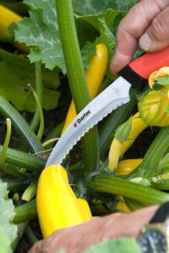 Darlac Harvest & Asparagus Knife -Garden Care Sale Store 39241 12075