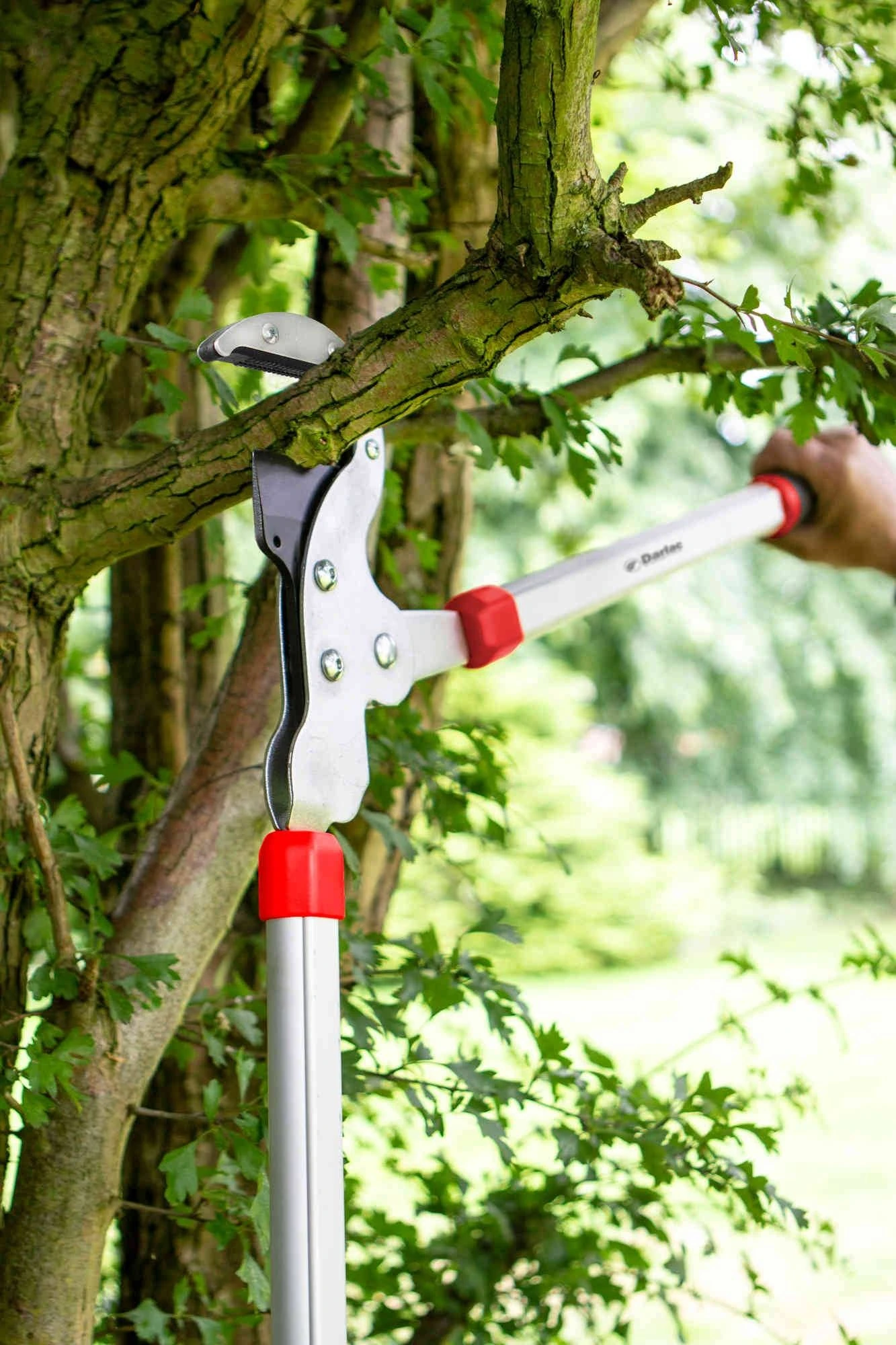 Darlac Heavy Duty Geared Anvil Lopper 4 Darlac Heavy Duty Geared Anvil Lopper - Image 2