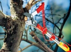 Wolf-Garten Wolf Garten Multi-Change Adjustable Anvil Tree Lopper -Garden Care Sale Store 39441 11827