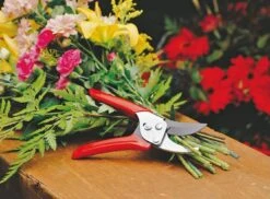 Wolf-Garten Wolf General Purpose Bypass Secateurs -Garden Care Sale Store 39452 11812
