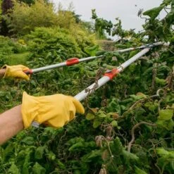 Wilkinson Sword Telescopic Anvil Lopper -Garden Care Sale Store 39499 11739