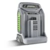 EGO CHX5500E Rapid Charger -Garden Care Sale Store 39656 11570