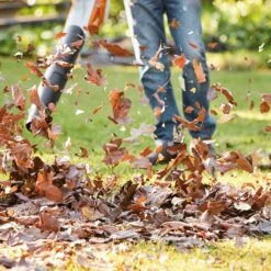 Stihl BGA 57 Boxset (1 X Shell, 1 X AK20 Battery, 1 X AL101 Charger) -Garden Care Sale Store 41161 10278