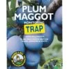 Growing Success Plum Maggot Monitoring Trap 2 Growing Success Plum Maggot Monitoring Trap -Garden Care Sale Store 42653 8012