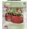 Haxnicks Patio Tomato Planters X2 -Garden Care Sale Store 43481 7003
