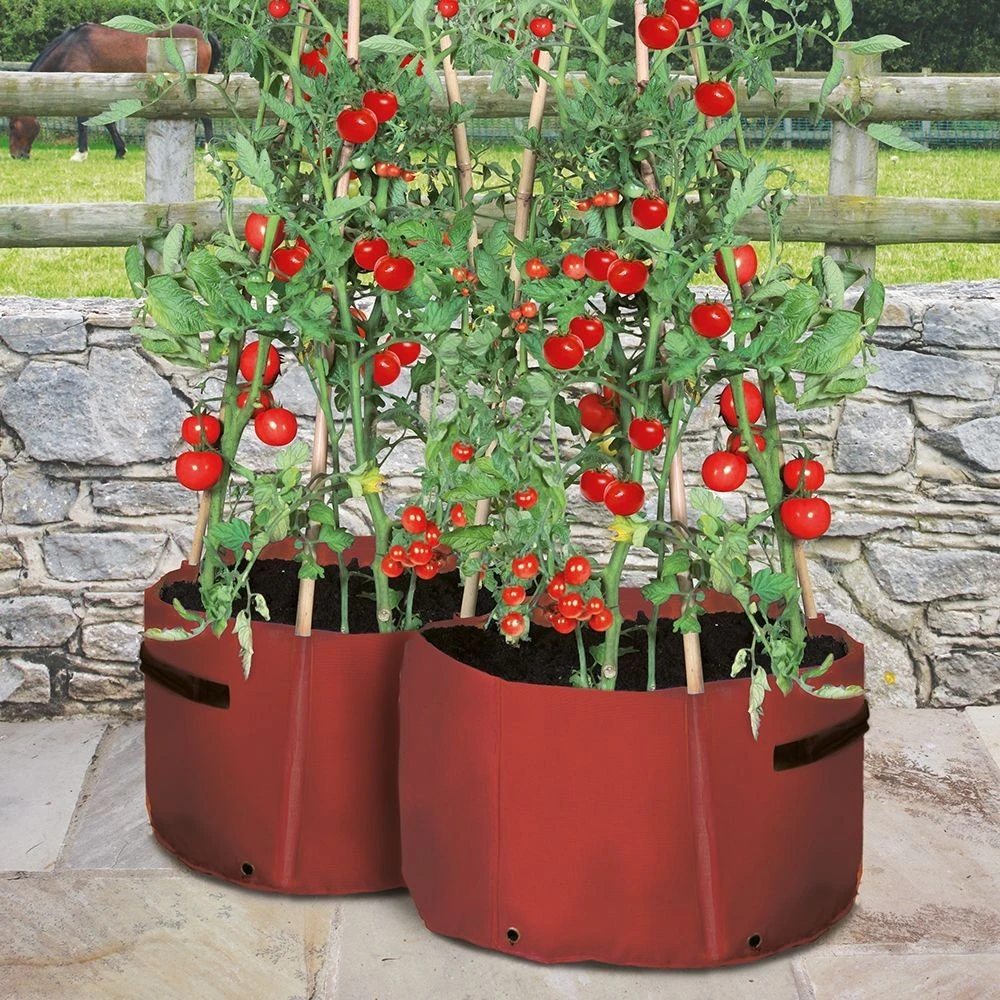 Haxnicks Patio Tomato Planters X2 4 Haxnicks Patio Tomato Planters X2 - Image 2