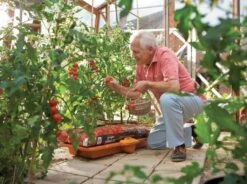 Hozelock Grow Bag Waterer -Garden Care Sale Store 43848 6541