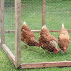 Smart Garden Hexagonal Wire Netting - 0.5 X 5m - 13mm Mesh -Garden Care Sale Store 44614 5895