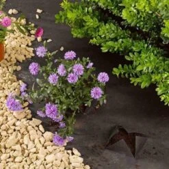 Smart Garden G100 Anti-Weed Fabric 1m X 15m -Garden Care Sale Store 44684 5799