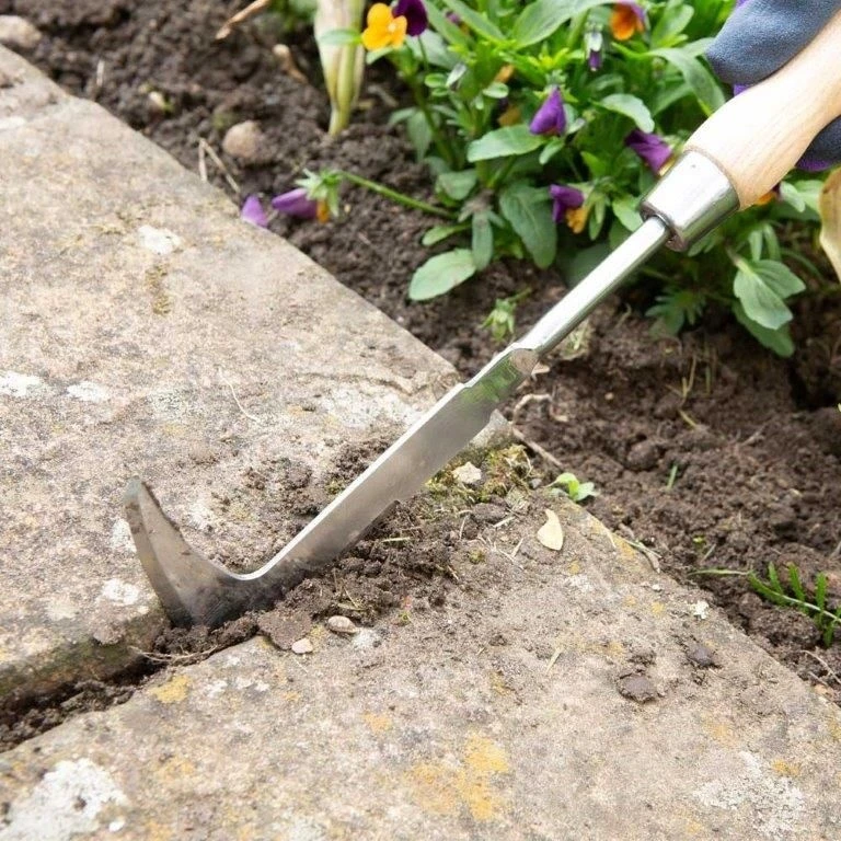 Wilkinson Sword Stainless Steel Hand Patio Knife 6 Wilkinson Sword Stainless Steel Hand Patio Knife - Image 4