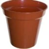 White Furze 38cm (15') Pot - Terracotta -Garden Care Sale Store 47230 1768