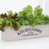 Unwins Homegrown Salad Kitchen Garden -Garden Care Sale Store 48801 36938