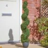Smart Garden Topiary Twirl 120cm -Garden Care Sale Store 50758 31794