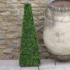 Smart Garden Boxwood Obelisk 60cm -Garden Care Sale Store 50809 31670