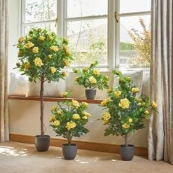 Smart Garden 120cm Regent's Roses - Sunshine Yellow -Garden Care Sale Store 50844 31569