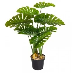 Smart Garden Swiss Cheese Artificial Plant -Garden Care Sale Store 50894 31442