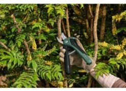 Bosch EasyPrune Cordless Secateurs -Garden Care Sale Store 51032 30816