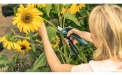 Bosch EasyPrune Cordless Secateurs -Garden Care Sale Store 51032 30843