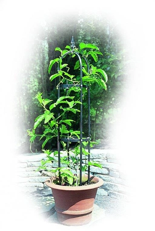 Poppy Forge Mini Traditional Obelisk 3 Poppy Forge Mini Traditional Obelisk