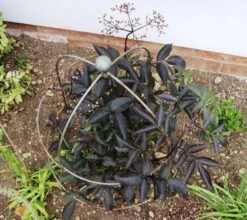 Poppy Forge Bell Cloche - Pack Of 2 -Garden Care Sale Store 55876 40909